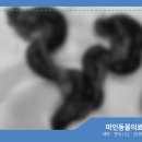 마인동물의료센터 이미지