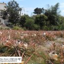 치산농장 이미지