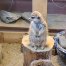 일수농장 이미지