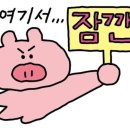비니유케이크