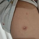 진인어린이집 이미지