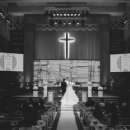 임마누엘헤어 이미지