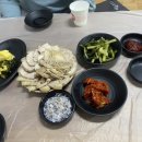 백촌 티스토리