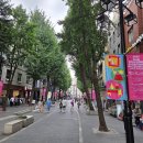 종로1~4가동 이미지