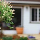 마당목장 이미지