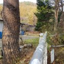 황금사슴농장 이미지