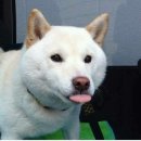 심쿵사