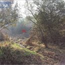 안골축사 이미지