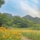인문학정원 귀소헌