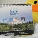 봄내병원 이미지