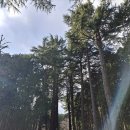 법기수원지 | 양산 법기수원지 정보 및 후기 (양산가볼만한곳, 편백나무, 대중교통, 자동차)