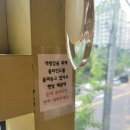 동궁찜닭신안평거점 | 진주 평거동 [동궁찜닭] / 신안평거점 / 맛집 / 밥집 /황금찜닭