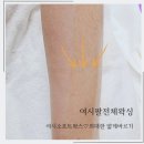 여시뷰티