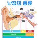 금강보청기 관악센터 이미지