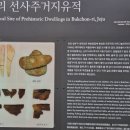 북촌리 선사주거지유적 이미지