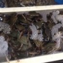 바람아래민박 이미지