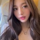신원국제투어 - 서대문구 연희로 263 | 신원국제투어