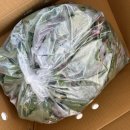 안만순농장 이미지