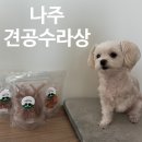 견공수라상 네이버블로그