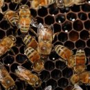 농업기술센터 2층 대강당 이미지