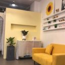 제이스파 이미지