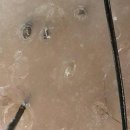 르칼피아 | 구월동 탈모관리 르칼피아 - 원형탈모 관리 후기