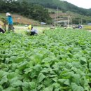 두문포길 이미지