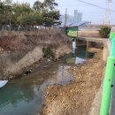 동패1통 이미지