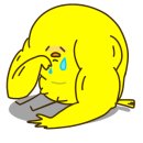 대전종로약국 이미지