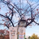 현수막세상 이미지