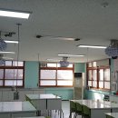 전주신성초등학교 이미지