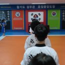 백마 합기도 이미지