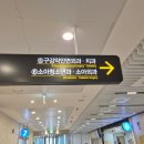 세브란스소아청소년과 | 대천문 작은 아기 / 용인세브란스 소아신경외과 후기