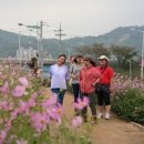 태백산맥길 이미지