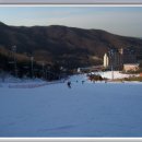 양지파인리조트 이미지