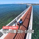 풍차와노을 | 제주 서쪽 가볼만한곳 신창풍차해안도로 싱계물공원 일몰 명소