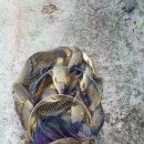 삼괴정낚시터 이미지