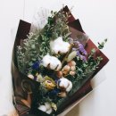 원주종합사회복지관 이미지