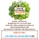 마마버드