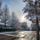 강무관 대호무술체육관 이미지