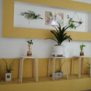 브런치요리 이미지