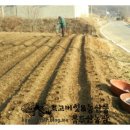 용두산농장 이미지