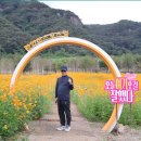 연휴 세쨋날입니다. 이미지