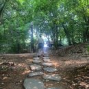 황송공원 (체육시설) 이미지
