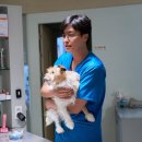 영화 파과 대구 무대인사 김성철, 연우진, 민규동 감독 무인 및 관람 후기 (결말, 관람평)