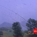 파이공인중개사사무소 이미지