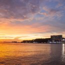 바다동물병원 이미지