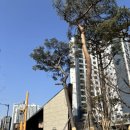 중앙식자재마트 건너편 횡단보도 | 인천 검단 vs 서울 개화산ㅣ지역 단지 임장 후기ㅣ결혼 준비 첫 단계 내 집마련