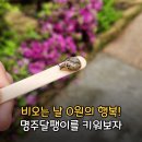 (주)명주환경 | 명주 달팽이 키우는법 먹이 흙 집 번식 짝짓기까지