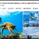 딥 다이브 크루